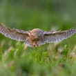 Ultra-low altitude flight