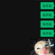 热暴力