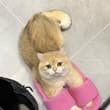 It's comfortable to wear
