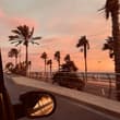 gm 🌴
