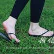 走路草 @acda2026