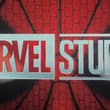 Today I went to see Spider-Man: A New Day. I love this movie and have seen all…