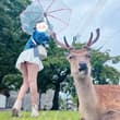 心情blue的時候就該去看看鹿鹿 👀🦌 #Nara