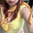 薯条真是一条性格很完美的乖乖小蛇