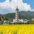 大美中国🇨🇳婺源，小桥流水古樟树，乡村的治愈风景被表现的淋漓尽致。