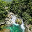 藏在山林里的一汪碧色，听山风，见灵猴，赴一场山野之约。 Deep in the mountains lies this turquoise pool. Lis…