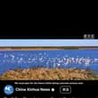 大美中国