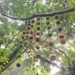 听雾林私语，看沙砾生长。 Listen to the whispers of misty woods, watch life thrive on arid l…
