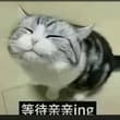 昨天在朋友家试衣服，感觉好像这个表情，没化妆用的朋友的美颜相机，美颜相机真好用！ 为什么我拍视频都好呆……