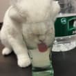 算了吧你肯定觉得没意思