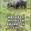 大家说取什么名字，霸气又好听。