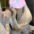 (调教嫂子74)二次3P圆满结束，下一期视频即将奉上，诚招H市实力单男 第二次3P已经结束了，下一期视频就给大家发出来，预计这几天会去一次东北前些日子特别火的…