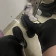 中秋节快乐 #boots #靴子 #长靴
