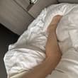 おはよう