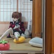 asuka变成团子了