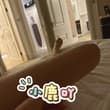 😅睡不着了~