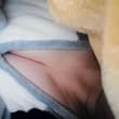 #粉丝投稿 看着清纯又骚气的女朋友