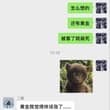 我帮我大姐二姐配置的，图三的黄金和通信是我二姐自己瞎买的，跟我没关系！ 然后她们还有一部分钱在我这，我帮她们做做交易，很稳