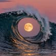 where the ocean meets the moon