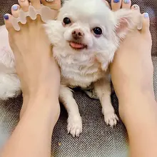 😋😋😋😋😋 https://t.co/v8iiX5WiyK #玉足 #美脚 #恋足癖 #足交榨精 #脚底奴 #鞋控 #足控福利 #脚趾