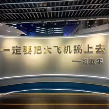 习近平给中国大飞机项目的题词真的又粗俗又低级，就像小学生的水平，但是他们真的把这几个字挂上去了，怪不得大飞机项目也烂尾了，＂烂尾帝＂真的是明不虚传，干什么什么…