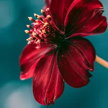 Media posted by 4K Phone wallpapers (@4KWallpapers254)