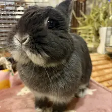 おつかれさまー！！