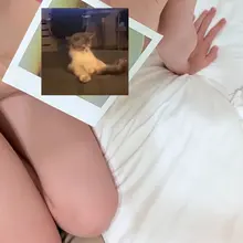 pussy