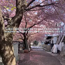 Photo posted by Zu kong (@taoluzbhf)