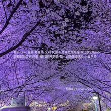 Photo posted by ❤️Feet (@tlzbtv008)