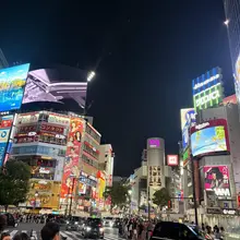 已是玩的不知天地为何物了
