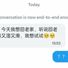 这是什么意思？我完全不懂你在说什么……