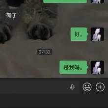 笑的我不行了