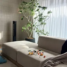 束の間の晴れだった☀️ 散らかった家🏡