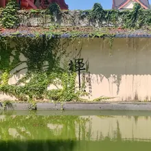 很有禅意 荷花正盛，云峰禅寺