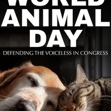 今天是世界动物日。我们热爱我们的动物，我们不会停止为它们而战。 它们不是实验室设备，也不是可随意丢弃的东西。我们在国会任职期间，将保护它们作为优先事项： ✅…