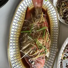 在币圈无论赚到与否，开心就好，互fo起来