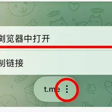 点击链接加入电报抖音录屏交流群https://t.co/bZhzNeEwJt “圆圈中的三个点”，然后选择浏览器中打开即可