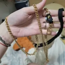 現在都沒有可以讓我重虐的狗嗎？ 一個個都比我怕痛？