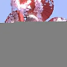 壁纸