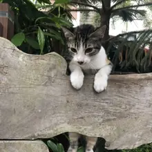 time to escape