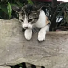 time to escape