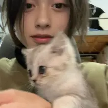 宝宝你是一只小猫