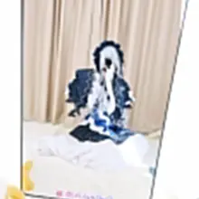 看看流量