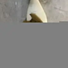 如果我成功勾起你的欲望了，我很高兴，说明我还是有点魅力的