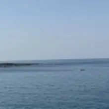 제주 함덕 고씨네 횟집 방문기 🐟 테이블에 앉자마자 새우회 한 판, 방어회 한 판, 성게알, 해초, 각종 밑반찬이 눈앞에 펼쳐지는데 그 순간…
