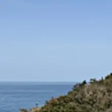 제주 함덕 고씨네 횟집 방문기 🐟 테이블에 앉자마자 새우회 한 판, 방어회 한 판, 성게알, 해초, 각종 밑반찬이 눈앞에 펼쳐지는데 그 순간…