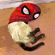 Spiderman!!