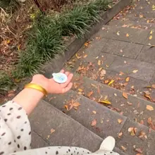 爬山捡到的，好奇心驱使我联想这里曾发生了什么…