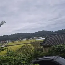 추석을 이렇게 ~ 아침에~ 익어가는 벼를 보면서 보낼줄은...♡ 잠은 못잤지만 기분 왜이리좋을까♡~~~ ㅎㅎㅎ 해피추석 입니당~~~~
